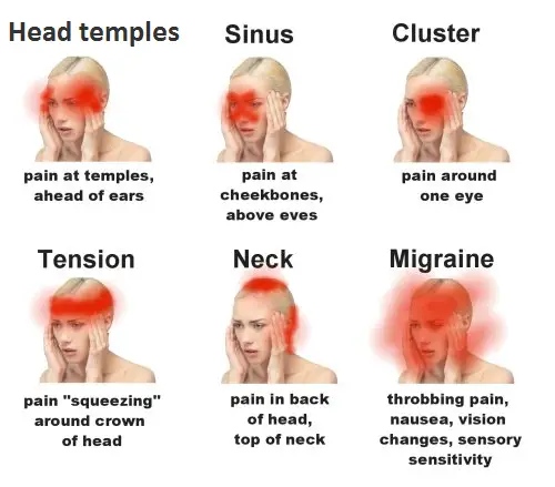 what-does-pain-in-the-back-of-your-head-mean-healthybackclub